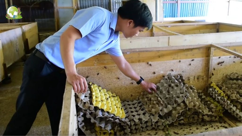 Tỷ phú nhờ nuôi côn trùng sạch